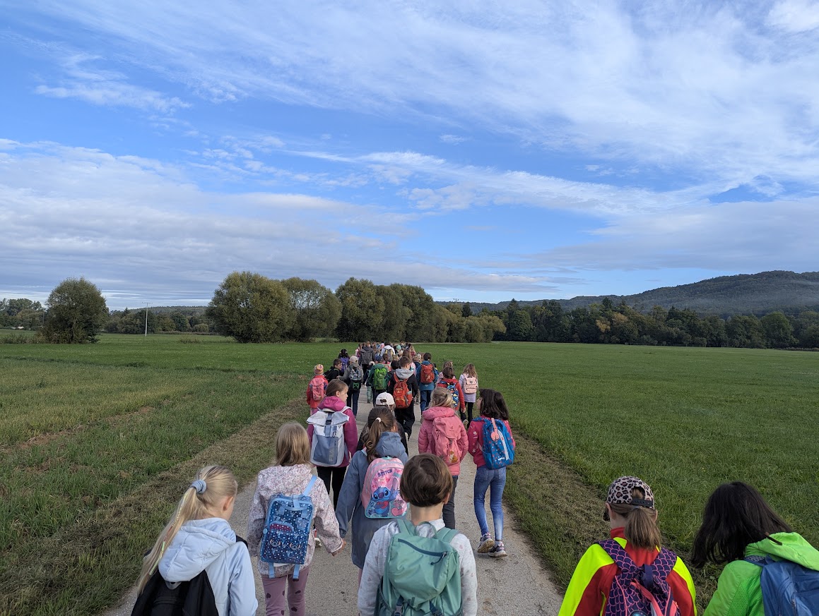 Beitragsfoto